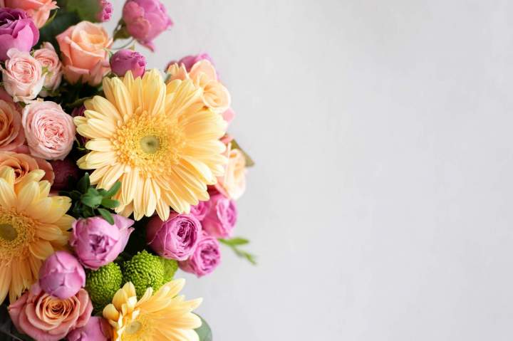 Vente des fleurs Gatineau