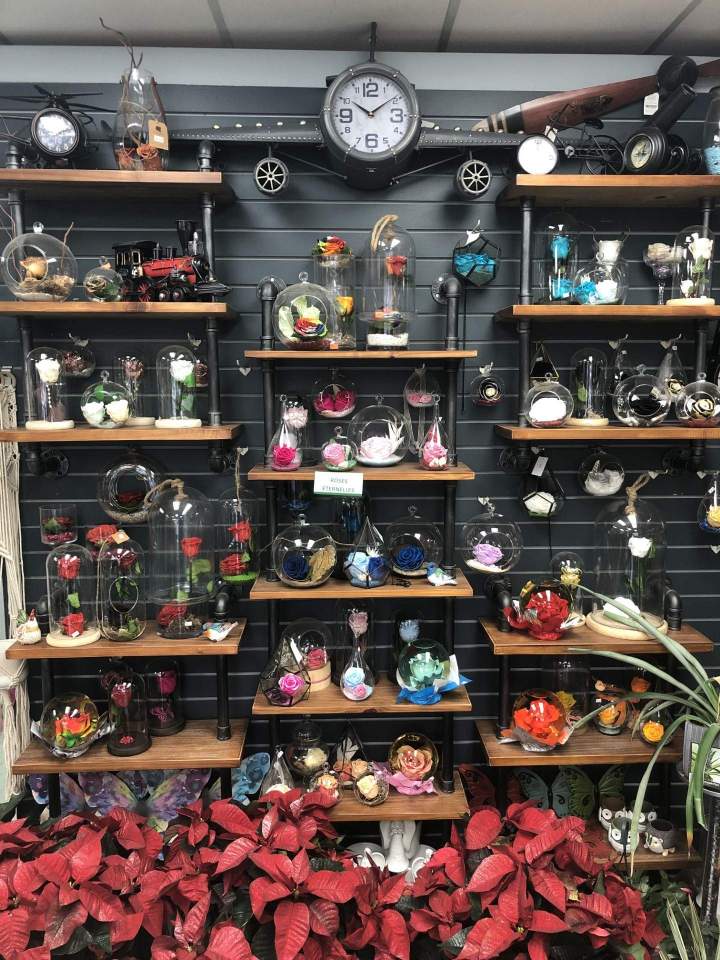 Roses éternelles Gatineau