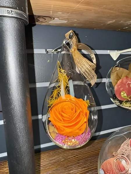 Roses stabilisées Gatineau