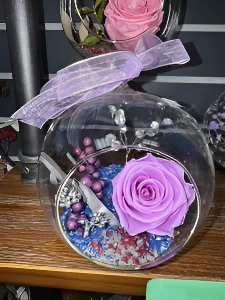 Roses immortelles Gatineau