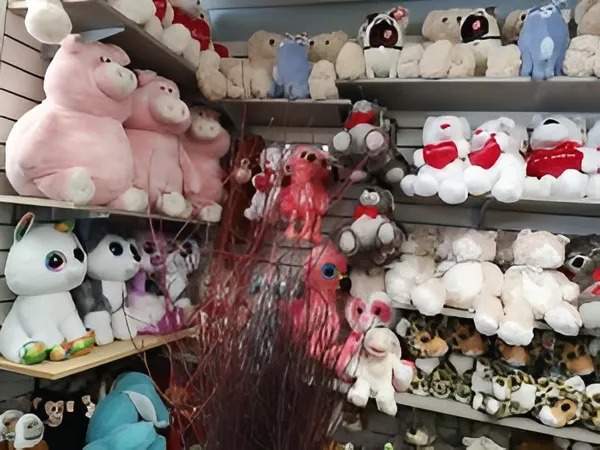 Vente des peluches Gatineau